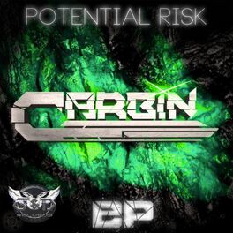 Album cover of Potential Risk