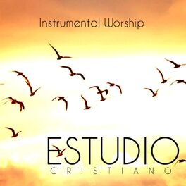Album cover of Estudio Cristiano