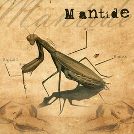 Album cover of Mantide