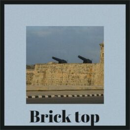 Album cover of Brick top