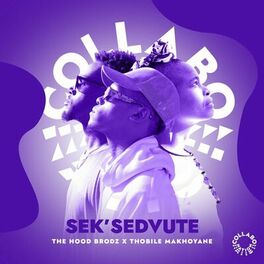 Album cover of Sek'sedvute