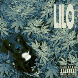 Album cover of LILO