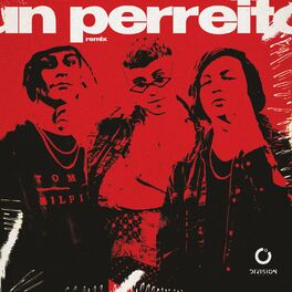 Album cover of Un Perreito (Remix)