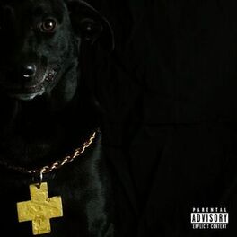 Album cover of Conexão