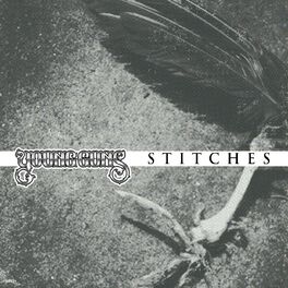 Album cover of Stitches (Single Mix) (Single Mix)