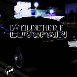 Album cover of LUV & PAIN