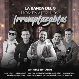 Album cover of Homenaje a los Irremplazables