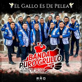 Album cover of El Gallo Es De Pelea