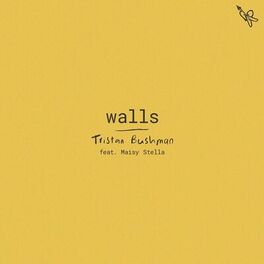 Album cover of Walls