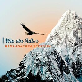 Album cover of Wie ein Adler
