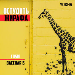 Album cover of Остудить жирафа