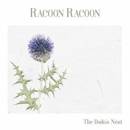Album cover of The Dodo's Nest