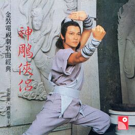 Album cover of Jin Zhuang Dian Shi Ju Ge Qu Jing Dian - Shen Diao Xia Lu