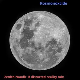 Album cover of Zenith Naudir # Distorted Reality Mix