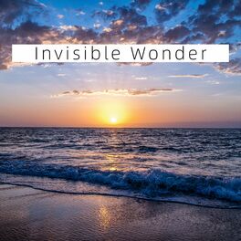 Album cover of Invisible Wonder