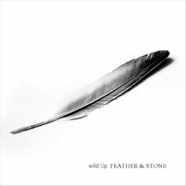 Album cover of Feather & Stone
