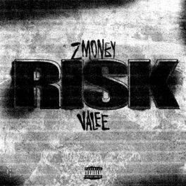 Album cover of Risk