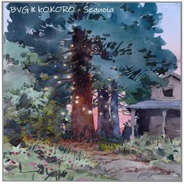 Album cover of Sequoia (feat. Kokoro)