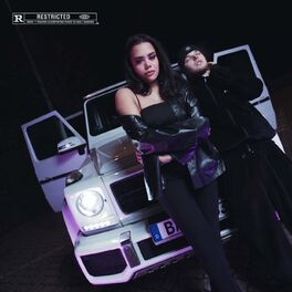 Album cover of Perfekt