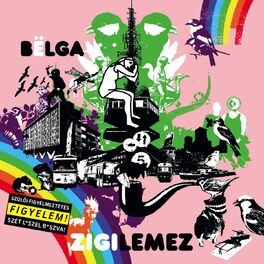 Album cover of Zigilemez