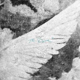Album cover of The Dove (Live)