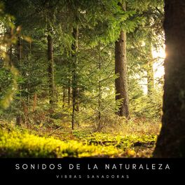 Album cover of Sonidos De La Naturaleza: Vibras Sanadoras