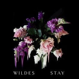 Album cover of Stay