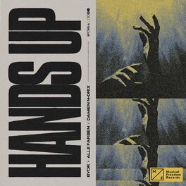Album cover of Hands Up