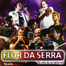 Album cover of Atende o Celular, Vol. 17