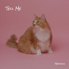 Album cover of Tell me