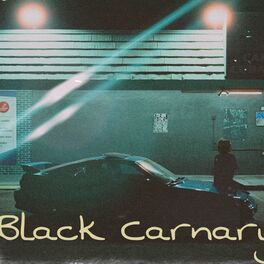 Album cover of Black Canary (feat. Spliff & Aaron)