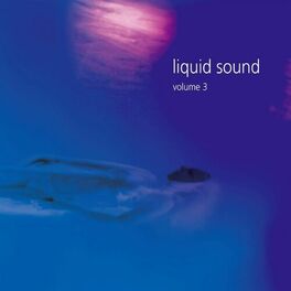 Album cover of Liquid Sound, Vol. 3 (Compiled by DJ Nartak)