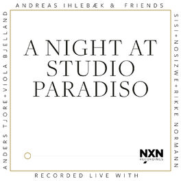 Album cover of A Night at Studio Paradiso