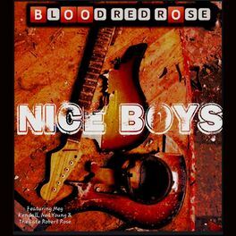Album cover of Nice Boys