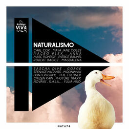 Album cover of Naturalismo