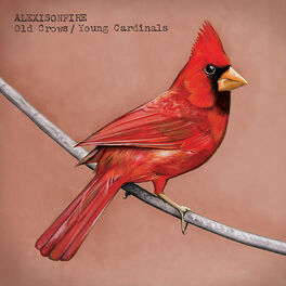 Album cover of Old Crows / Young Cardinals