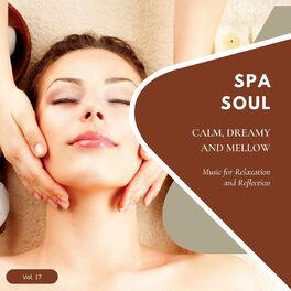 Album cover of Spa Soul - Calm, Dreamy And Mellow Music For Relaxation And Reflextion, Vol. 17