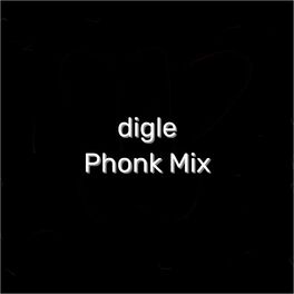 Digle: albums, songs, playlists