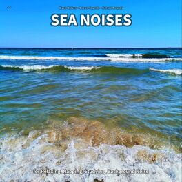 Wave Noises - ** Sea Noises for Relaxing, Napping, Studying ...