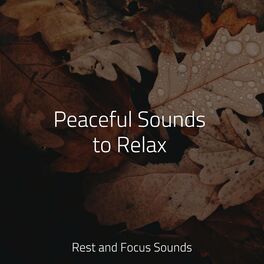 Album cover of Peaceful Sounds to Relax