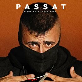 Album cover of Passat (feat. Sero Produktion Beats)