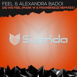 Album cover of Did We Feel (Remixes)