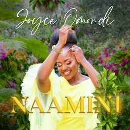 Album cover of Naamini