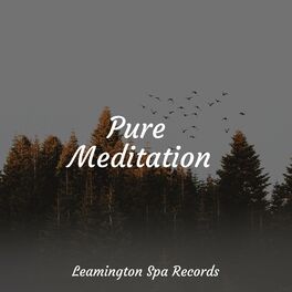 Album cover of Pure Meditation