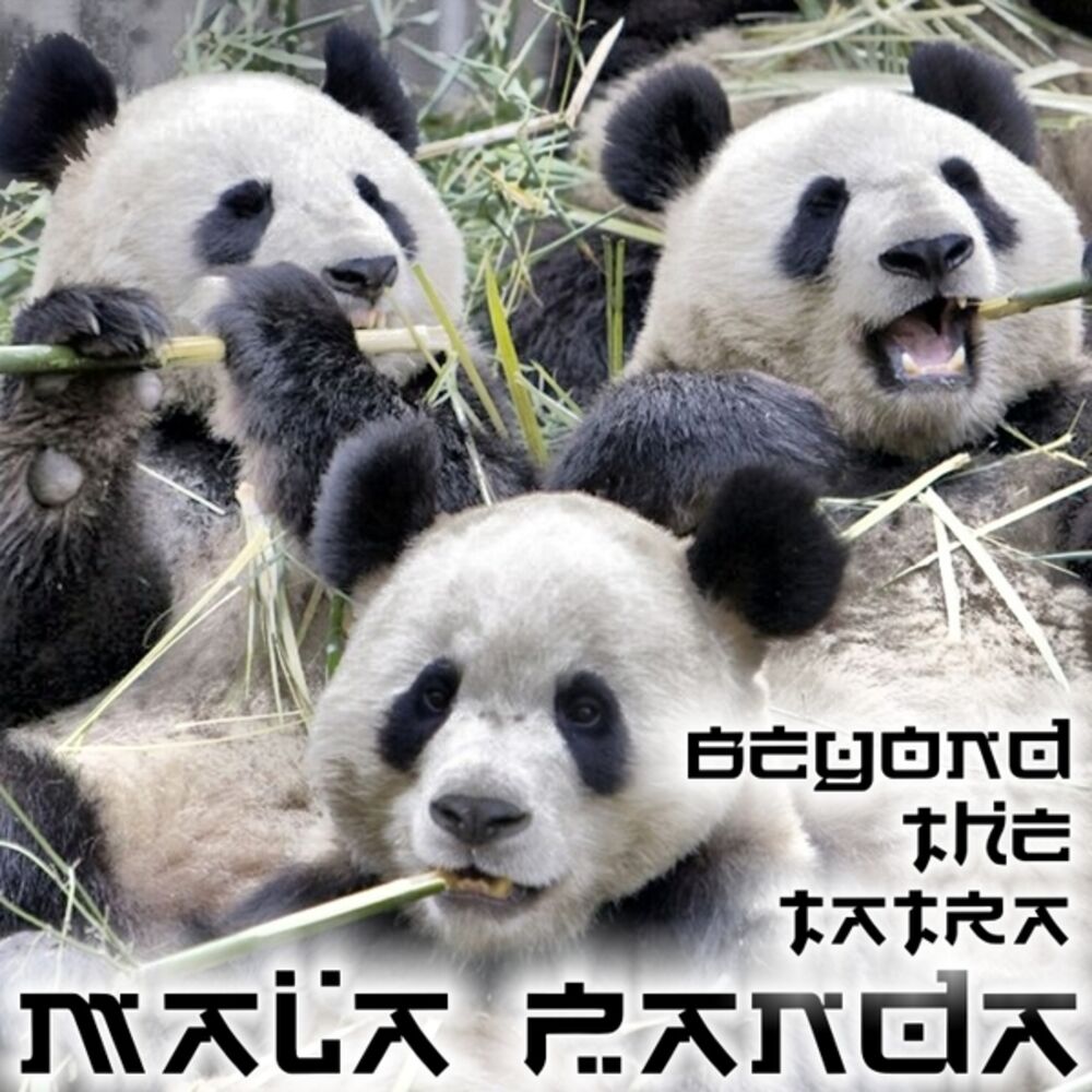 Текст песни panda. Маленькая Панда Enrasta. Большое путешествие маленькой панды. Малина Панда. Маленькая Панда песня.
