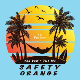 Album cover of You Don't Owe Me