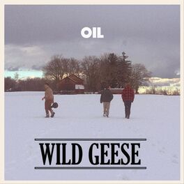 Album cover of Wild Geese
