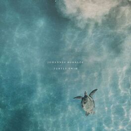 Album cover of Turtle Swim