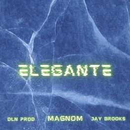 Album cover of Elegante (feat. DLN Prod & Jay Brooks)