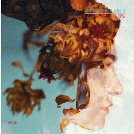 Album cover of Opção